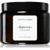 The Olphactory, Forever Citrus &amp; Shades, Scented Candle, 360 g