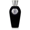 Tiziana Terenzi V Canto Ensis EDP parfumuotas vanduo unisex, 100 ml