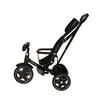 Triratukas Trike Fix Elite, juodas
