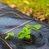 Agrotekstilė nuo piktžolių Springos 90g/m2 1,6x50 m
