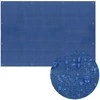 Brezentas Springos 10x8m 60g/m2