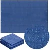 Brezentas Springos 10x8m 60g/m2