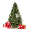 Springos Dirbtinė eglutė Royal Trees, Skandinaviška eglė 180 cm
