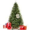 Springos Dirbtinė eglutė Royal Trees, Skandinaviška eglė 180 cm