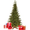 Springos Dirbtinė eglutė Royal Trees Himalajų eglė 180 cm