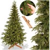 Springos Eglutė Royal Trees® Himalajų 210 cm