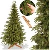 Springos Eglutė Royal Trees® Himalajų 210 cm