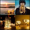 Springos LED kalėdinė girlianda, 300 mikro LED, 8 režimų, šiltai balta, 33 m