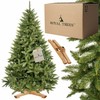 Springos Dirbtinė Kalėdų eglutė Royal Trees, Kaukazo eglė, 220 cm
