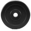 Springos Svorio diskas 1,25 kg