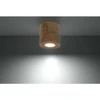 Lubinis šviestuvas Sollux Lighting „Sollux“ lubos ORBIS