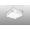 Lubinis šviestuvas Sollux Lighting Sollux Sieninis šviestuvas HORUS baltas