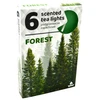 Admit Arbatinės kvepiančios žvakutės Forest 6vnt