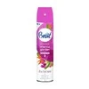 Oro gaiviklis Brait Oriental Garden 300ml