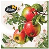 Silken Stalo servetėlės Decor Obuoliai/Svarainiai 33x33cm, 3 sluoksniai, 18vnt