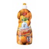 Indų ploviklis Friends Citrinų kvapo 500ml