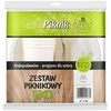 Vienkartinių indų ir įrankių komplektas 4 asmenims Piknik