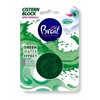 WC tabletė Brait Pine 50g