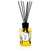 Drėkintuvas Acqua Di Parma Kambario Difuzorius Notte Di Stelle 500ml