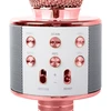 Ausinės Belaidis mikrofonas-kolonėlė su Bluetooth ir karaoke funkcija