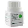 Botanica Nutrients Botanicanutrients Garcinia garsinijos 400mg