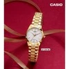CASIO Moteriškas Laikrodis LTP-1274G-7A Aukso Apyrankė