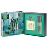 Cerruti 1881 P H EDT, 100 ml Sp Desodorante, 150 ml Sp 2 Pcs Set
