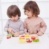 Classic World Vaisių Pjaustymo Rinkinys Montessori 20 vnt.