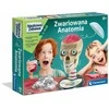Clementoni, Anatomijos edukacinis rinkinys