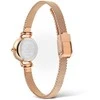 Daniel Wellington Moteriškas Laikrodis Petite Mini Rose Gold 19mm DW00100744