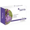 Eladiet Šalavijas 60 vnt 330 Mg