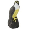Falcon bird deterrent starlings pigeons mice large