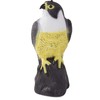 Falcon bird deterrent starlings pigeons mice large