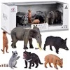 Figūrėlės gyvūnai dramblys meerkat raccoon 6pcs