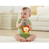 Fisher Price Fišerio kainos liūtas su veidrodžiu