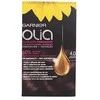 Garnier Olia Permanent Coloring 4,0 Brown plaukų dažai