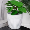 Gėlių vazonas keraminė balta 14 cm