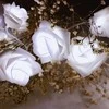 „Girlanda“ / „Rose“ plėtros kambario lempos - šalta spalva