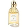 Guerlain Aqua Allegoria Mand Basilic et 40 Rble
