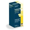 MENARINI Kaleidon Probiotikų lašai 5ml