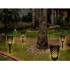 Solar garden lamp torch lantern sensor