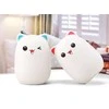 Led cat night light rgb remote control