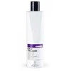 Light Irridiance Tech Division Out Geltona Šampūnas nuo geltono atspalvio 300ml