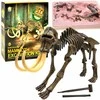 Jokomisiada Mamuto skeleto 3D kasinėjimai Set