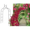 Metalinė pergola gėlėms ir vijokliniams augalams