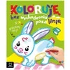 Aksjomat Minkštas spalvinimo albumas su pūkeliu KS1026