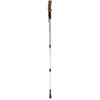 Nordic walking cork walking stick