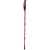 Nordic walking cork walking stick