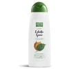 "Phyto Nature" šampūnas riebiems plaukams 400ml