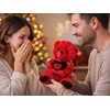 Pliušinis meškutis su „I love you“ širdiele
